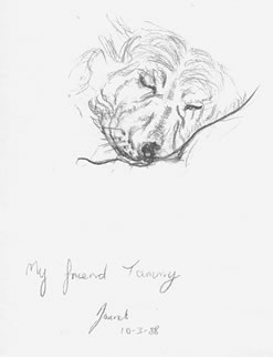 My pencil sketch of Tammy